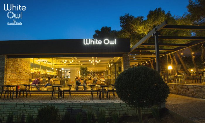 White Owl | Θρακομακεδόνες